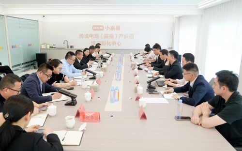 吳呈錢專題調研跨境電商高質量發展工作